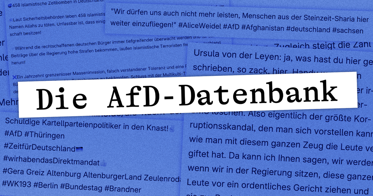 Beleg für den AfD-Bericht: Die AfD-Datenbank