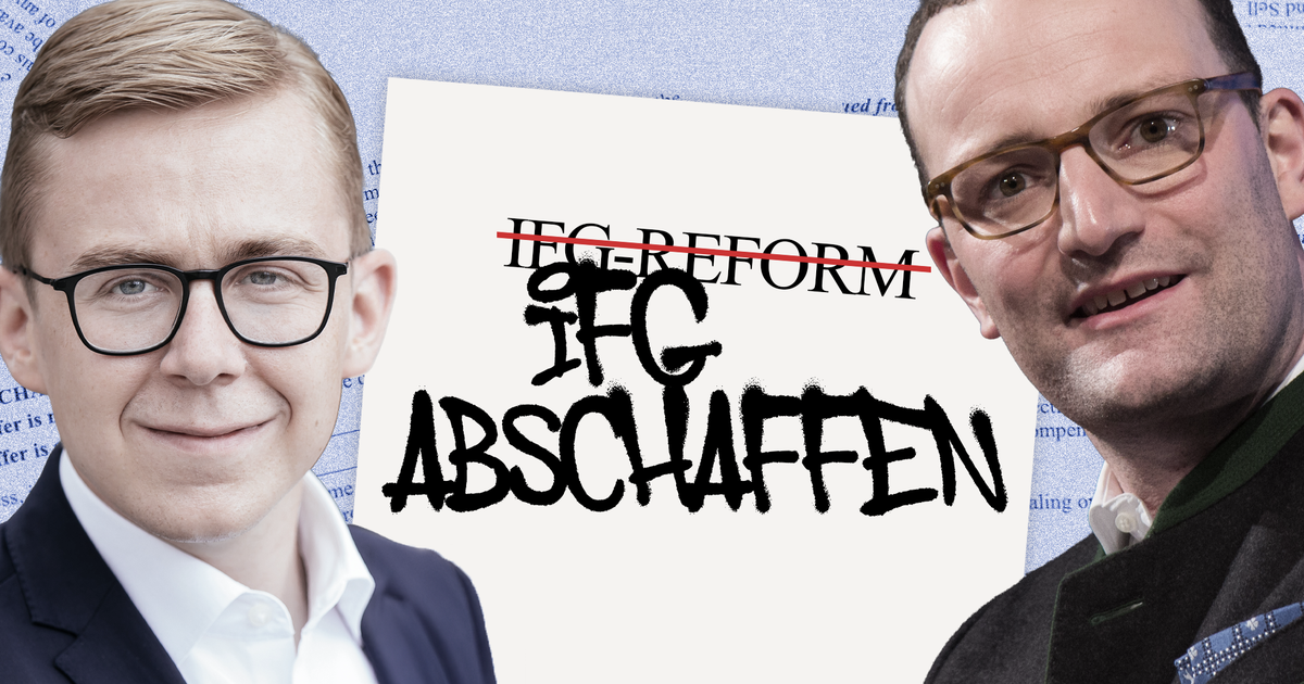 SPD und Union planen die Abschaffung des IFG