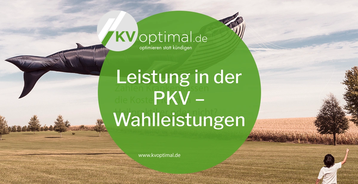 Leistung in der PKV – Wahlleistungen